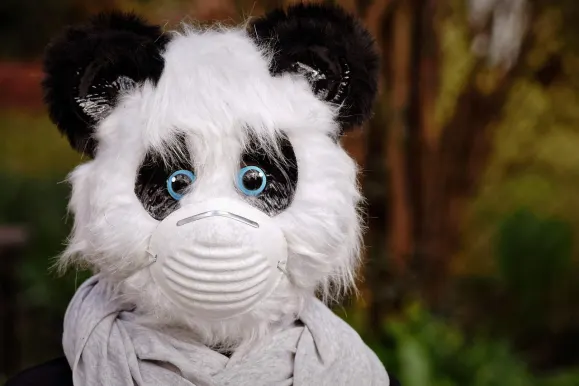 سيلفر بلاي كازينو الدعم